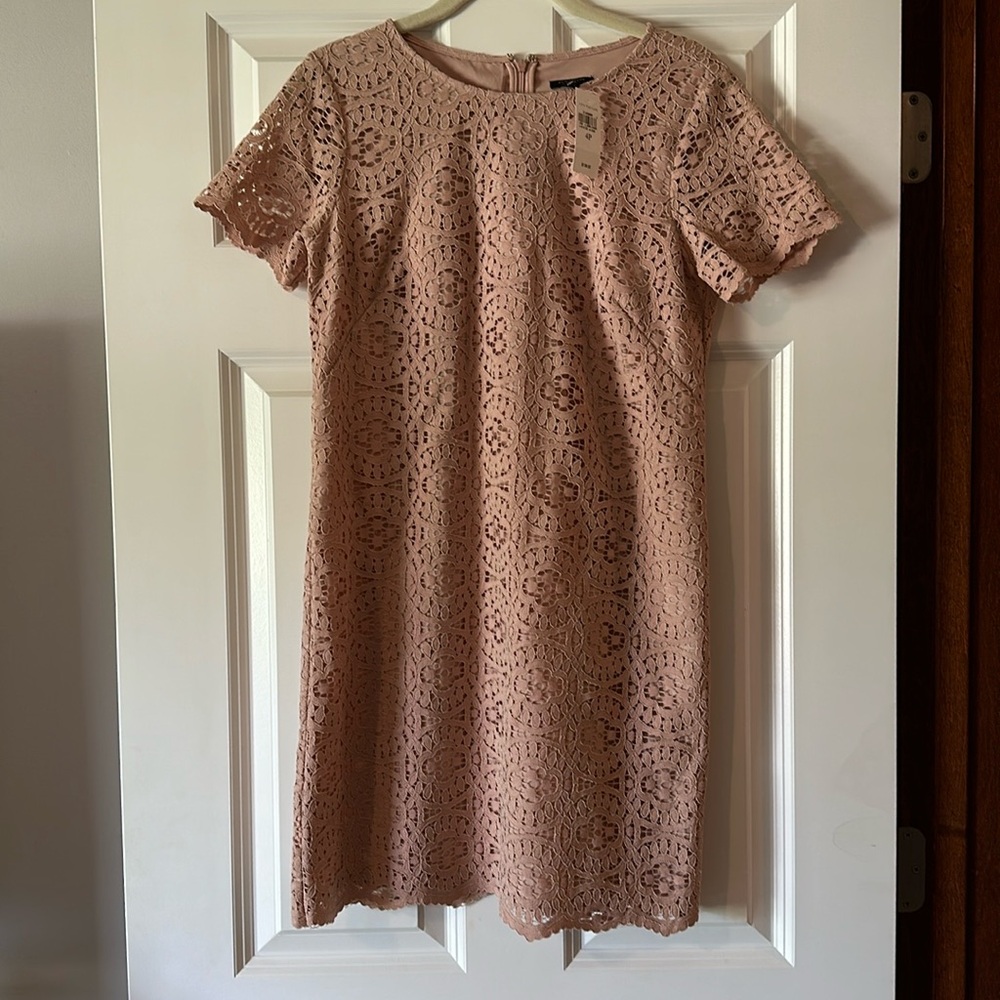 Ann Taylor Blush Pink Lace T-Shirt Dress